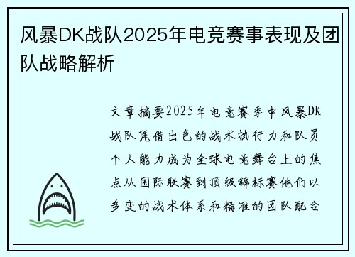 风暴DK战队2025年电竞赛事表现及团队战略解析